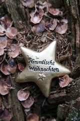 Weihnachten ohne Schnee