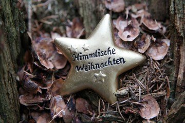 Weihnachten ohne Schnee