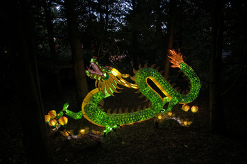 Chinese dragon