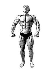 sketching of the bodybuilder