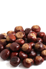 Horse chestnut