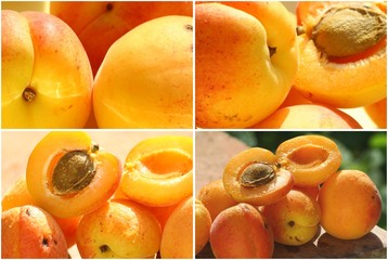 abricots