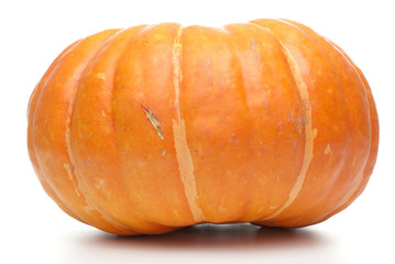 Obraz premium Orange pumpkin