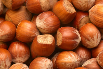 Hazelnuts