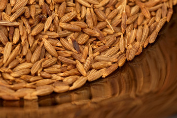 Cumin seeds