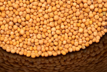 Mustard seeds