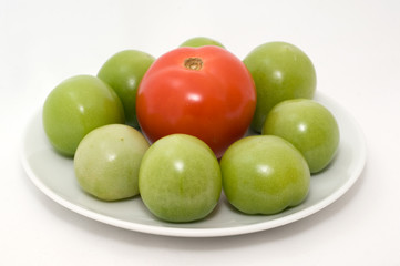 Tomatos