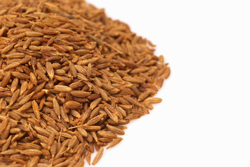Cumin seeds