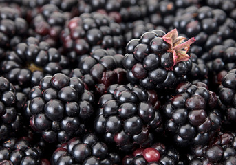 Blackberry berry