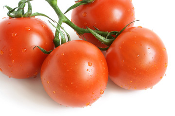 Cherry tomatoes covered drops