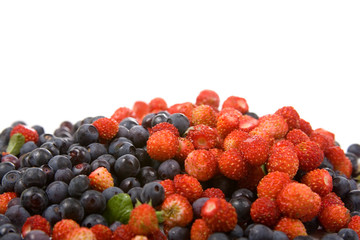 Wild strawberries and blueberries