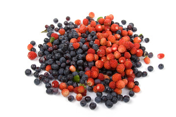 Wild strawberries and blueberries
