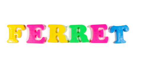 ferret written in fridge magnets