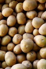 potatoes background