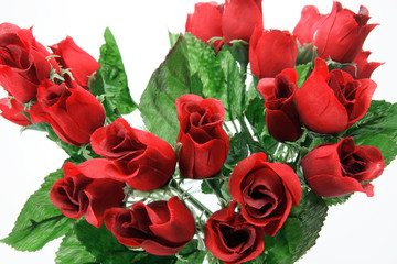 Red Roses