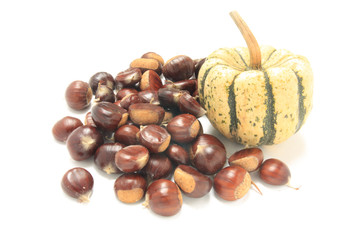 Isolated macro image of raw chestnuts and pumpkin