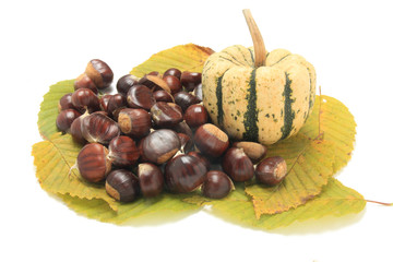 Isolated macro image of raw chestnuts and pumpkin