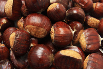 Isolated macro image of raw chestnuts