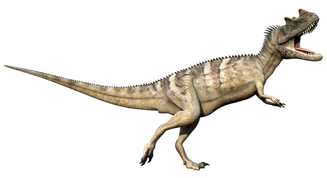 ceratosaurus side defend