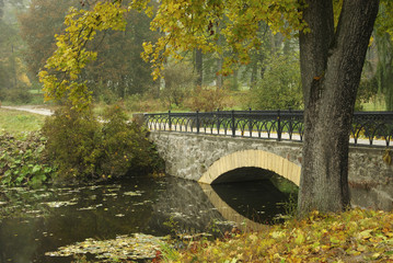 Morning in autumn park