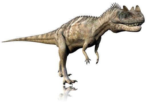 ceratosaurus side walk reflection