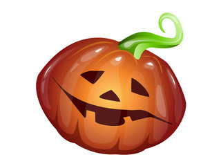 Zucca