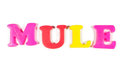 mule written in fridge magnets