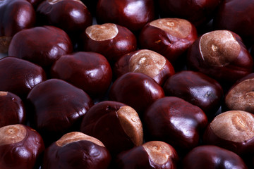 Chestnuts
