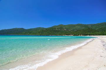 Fototapeta na wymiar Marvelous beach of Cupabia, Corsica