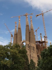 Fototapeta premium Sagrada Familia church in Barcelona