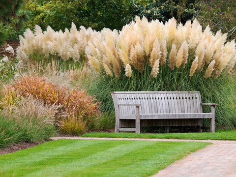 Bench in beautiful city park