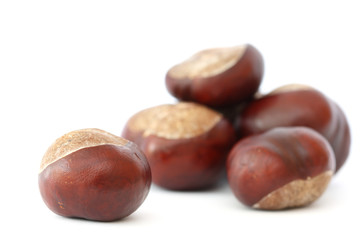 Chestnuts on white background