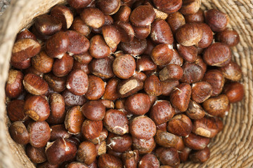 chestnuts