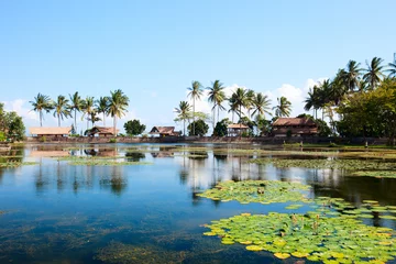  Lotus lagune op Bali © BlueOrange Studio