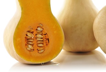 butternut squash close up