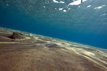 ocean and sun