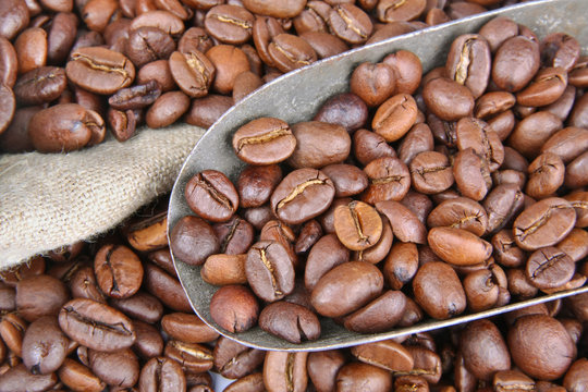 Coffee beans, close-up view
