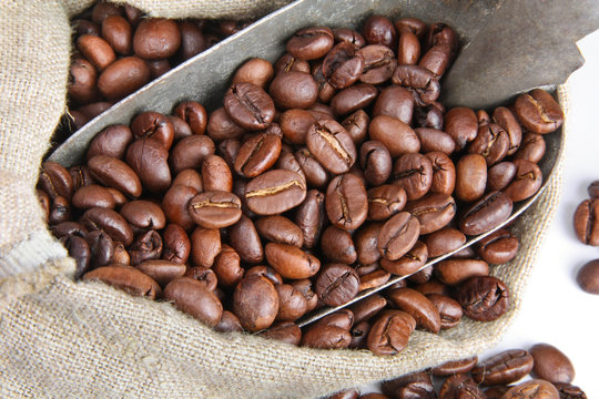 Coffee beans, macro