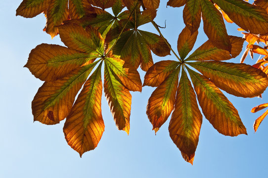 รูปภาพPalmada เลือกดูภาพถ่ายสต็อก เวกเตอร์ และวิดีโอ14 Adobe Stock