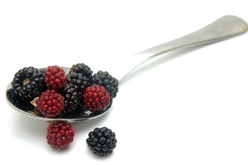 Moras