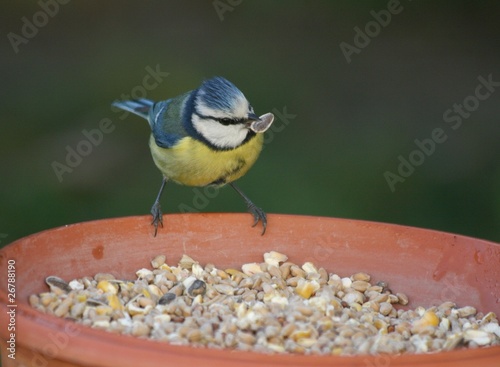 500_F_26788190_2jCS3vY3mR6mo8Edx24udFGQNUevFLL8.jpg