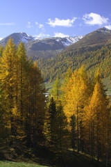 Fototapeta na wymiar Jesień w Val Livigno