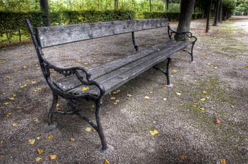 Bench in the park