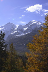 Piz Bernina und Piz Morteratsch