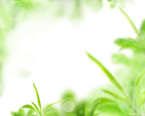 Fototapeta premium Beautiful unfocus nature background