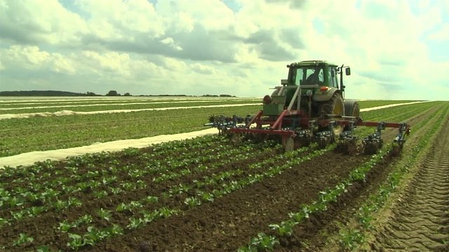 Traktor beim Harken