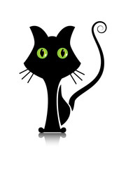 Black cat