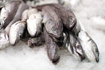 Heap of fish in ice