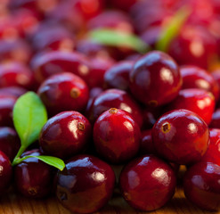 Fresh red cranberries