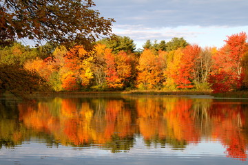 Fototapeta na wymiar Autumn Reflection Iv